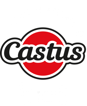 Front Page - Castus