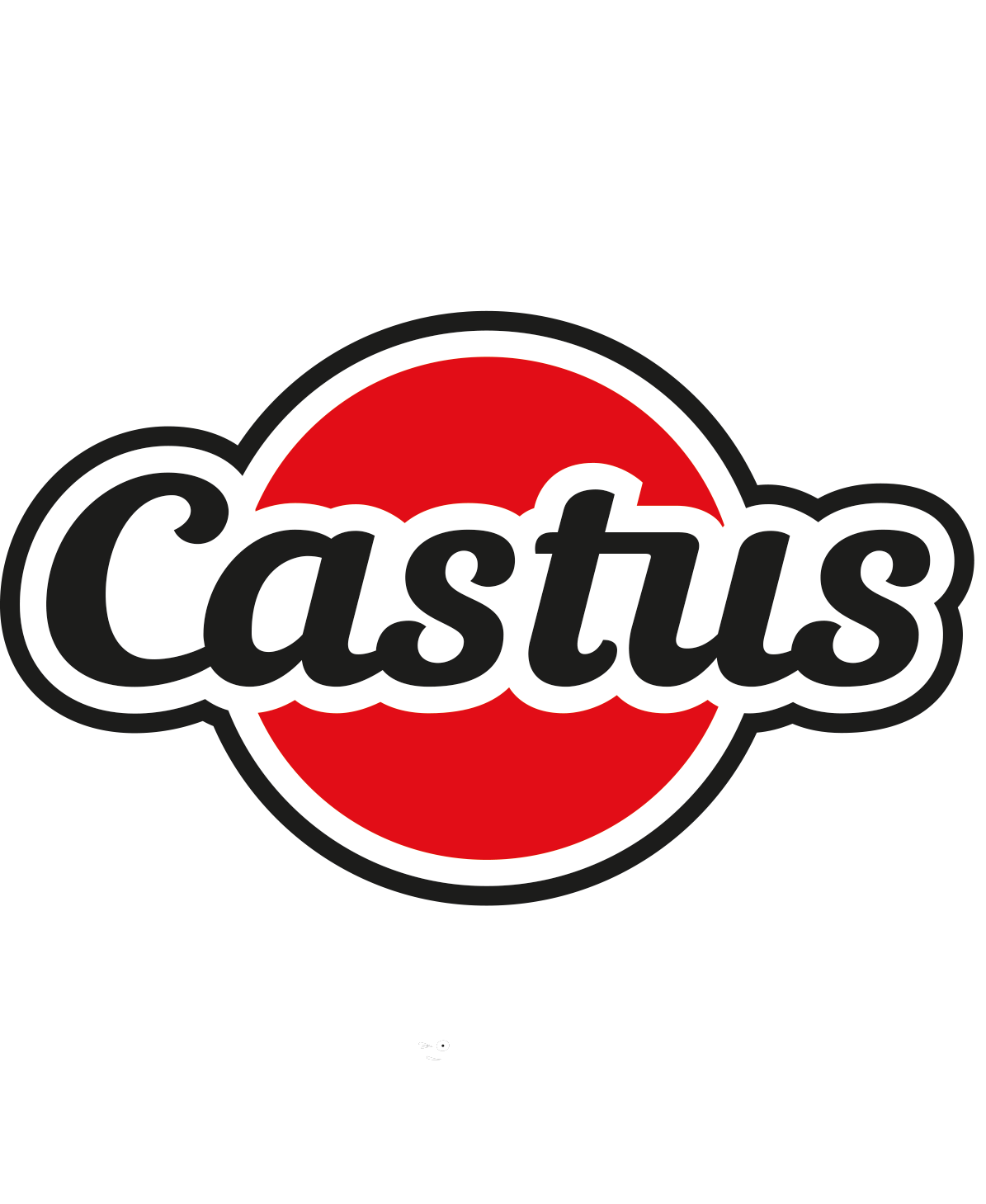 CastusKids_logo_hvidtekst