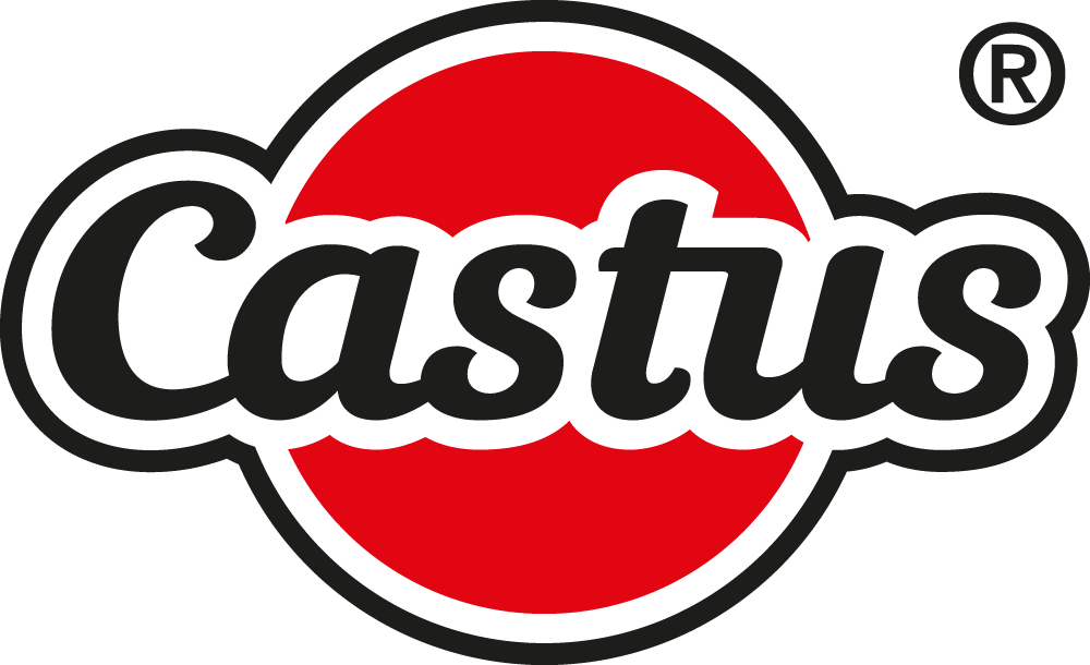 Logotyp för Castus